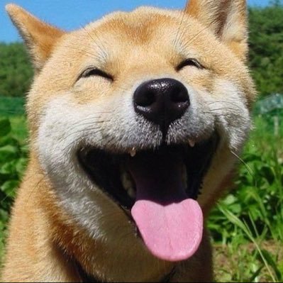 Nanzabannok's profile picture