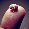 Noni» 的头像