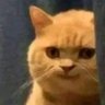 Fireborn's profile picture