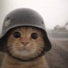 Profilbild von TatsuKuro