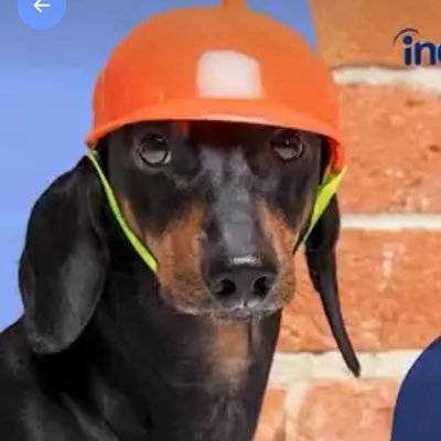 punknahk's profile picture
