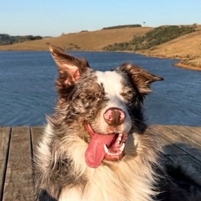 rapha's profile picture