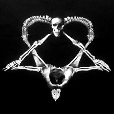 boywithtits00's profile picture