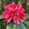 Фото профиля Cynthia Grenier