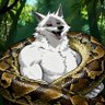 Python2play 的头像