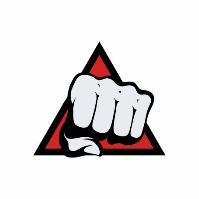 BKB Bare Knuckle Boxing's profile picture