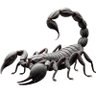 Profilbild von Scorpion 🦂
