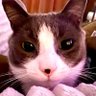 Profilbild von pinky
