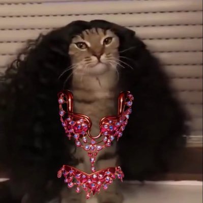 thereitispedro's profile picture