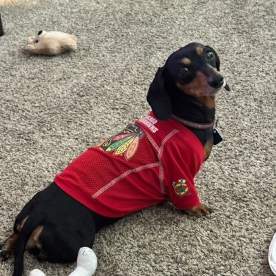 Mandyhawk19's profile picture