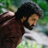 Nenu NTR Fan Ni 🦚's profile picture