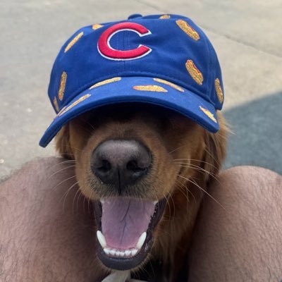 slvttyberry's profile picture