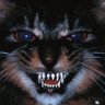 Profilbild von ✵°✵catnip✵°✵