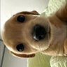 kerrrrr profil fotoğrafı