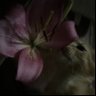 Фото профиля ୨ৎ
