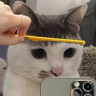 우리집고먐미's profile picture