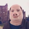 jp's profile picture
