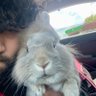 i's profile picture