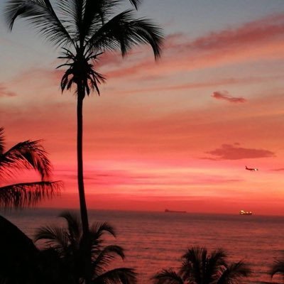 Rafael Martínez's profile picture