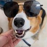 浩爸爸 profil fotoğrafı