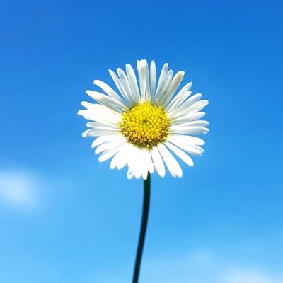 MinhDV's profile picture