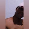 moreno_014 profil fotoğrafı