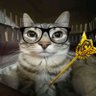 TexLop's profile picture