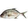 Talakitok ๐'s profile picture