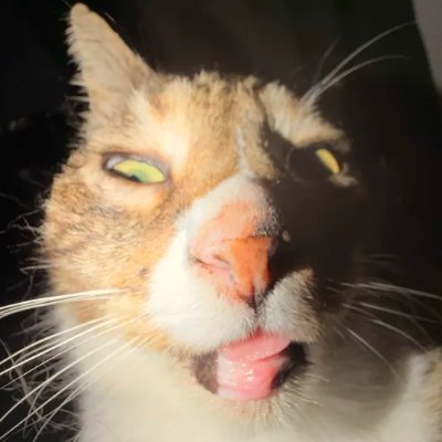 chasmmmmmmmmmmm's profile picture
