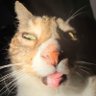 chasm's profile picture
