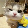 Krizn 的头像