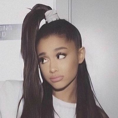AIR-IANA 🐾's profile picture