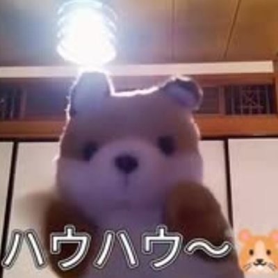 aiueo7095110's profile picture