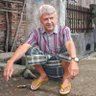 Profilbild von hai in english