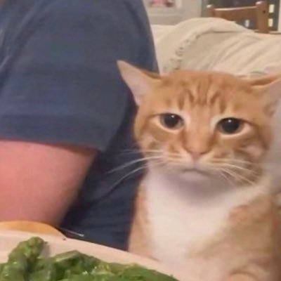 cute gills's profile picture