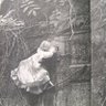 Noa Violence profil fotoğrafı