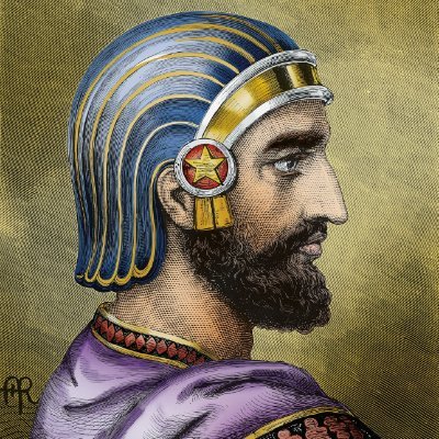 cyrus_shah_'s profile picture