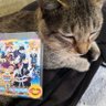 ね子(みーやちゃん釣鐘封じ作って頂いてありがとうございます🙏) profil fotoğrafı