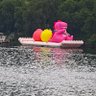loulou's profile picture