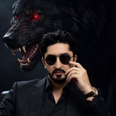 ظہیر عباس 🇵🇰's profile picture