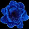 Фото профиля lint.