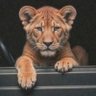 Nećro's profile picture