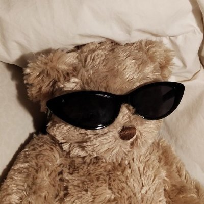 — . inmelode🦮♡🇦🇷's profile picture