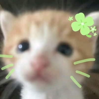 Jung_순이🥑🦦🩵's profile picture