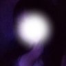 Amelia's profile picture
