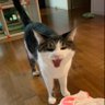ãããã's profile picture