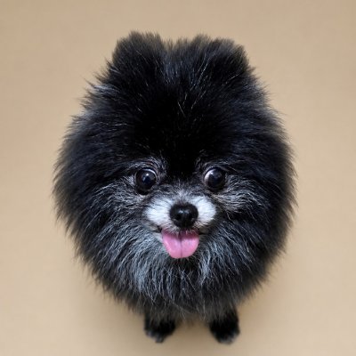 KITU0316's profile picture