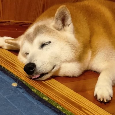 Yuki191145's profile picture
