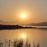 Payande Iran 🇮🇷's profile picture