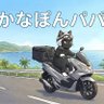 かなぽんパパ@PCXと黒猫's profile picture